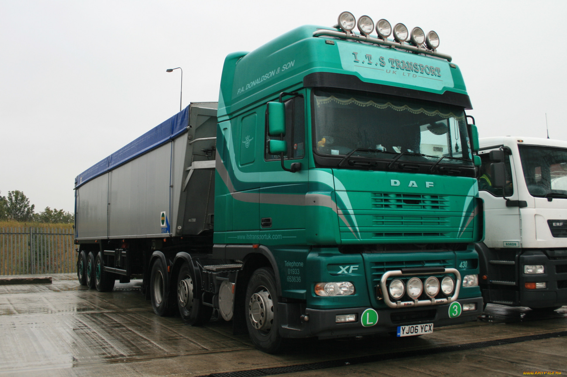 daf, , , , , , , trucks, nv